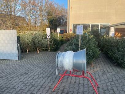 Weihnachtsbaum-Verkauf